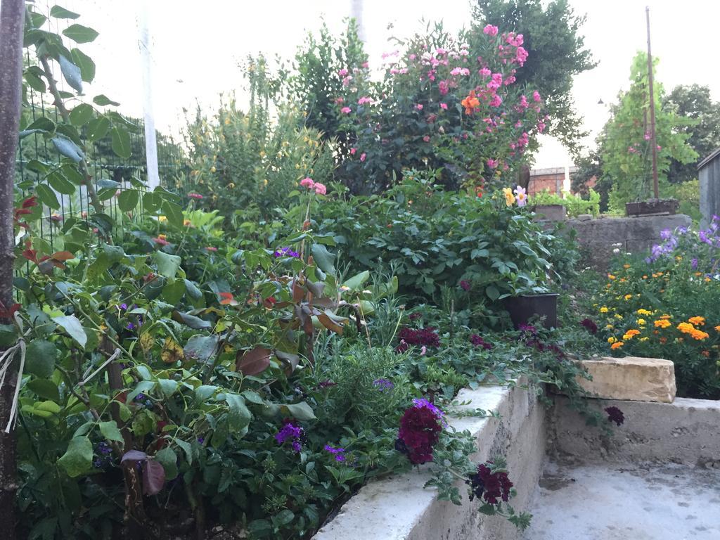 Mfs Apartments Mostar Bagian luar foto